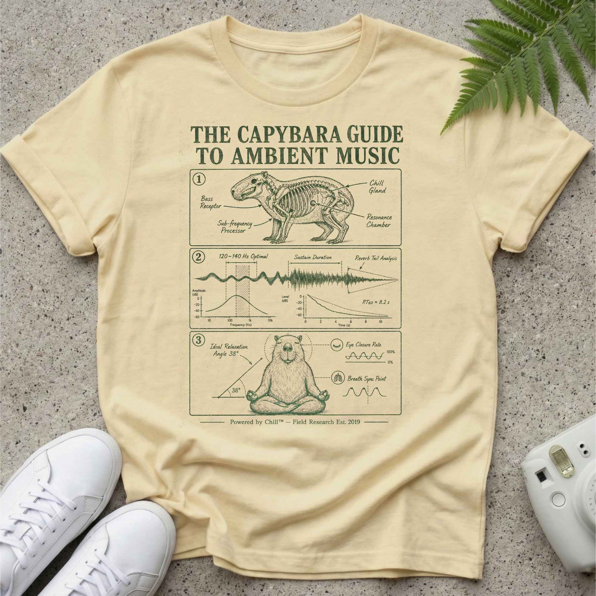 Ambient Music Capybara T-shirt